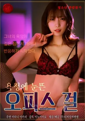 秘密森林详情页配图,档案柜与卷宗